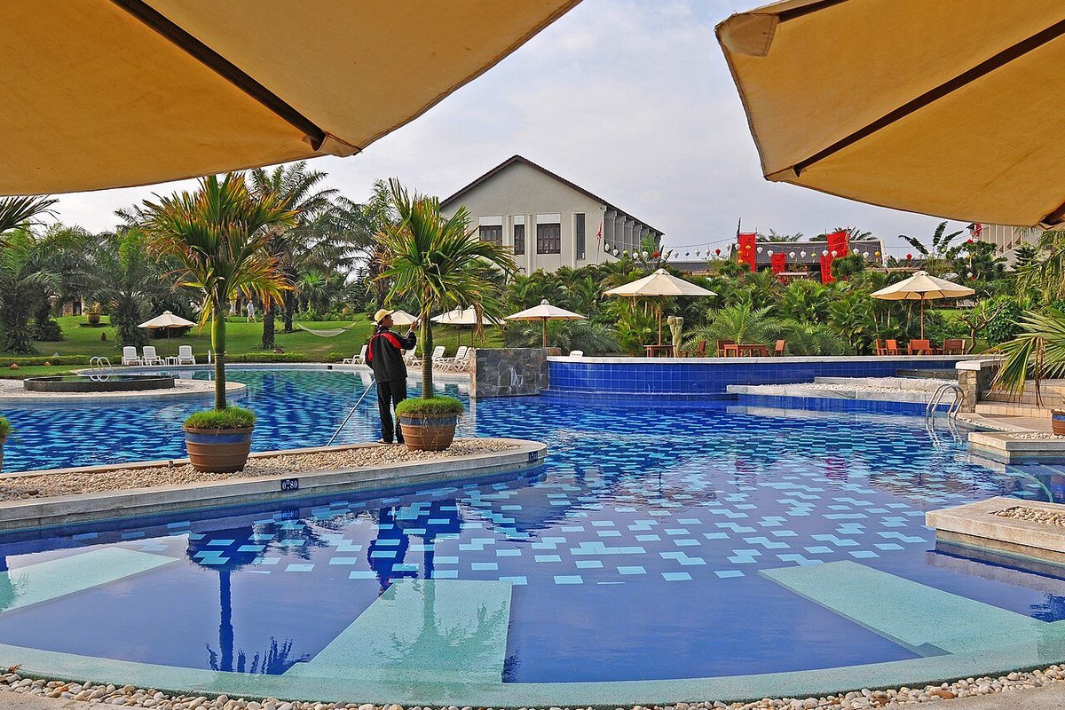 Alero Homestay Buôn Ma Thuột – Không Gian Nghỉ Dưỡng Boutique Sân Vườn Thanh Lịch Giữa Lòng Phố Núi