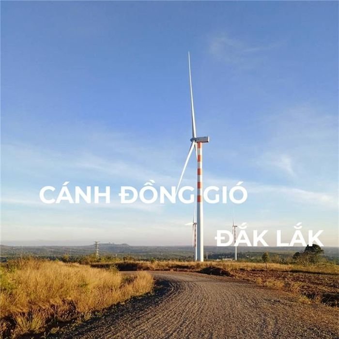 Cánh Đồng Quạt Gió Ea H’leo – Tọa Độ Check-in Đẹp Như Trời Âu