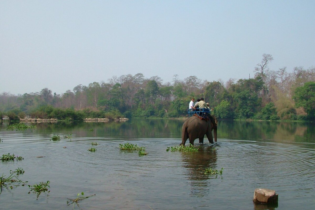 Cầu treo sinh thái bắt qua rặng si cổ thụ bên dòng sông Sêrêpôk tại KDL Buôn Đôn Thanh Hà Đắk Lắk